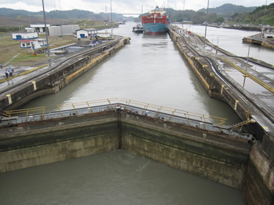 container being herded